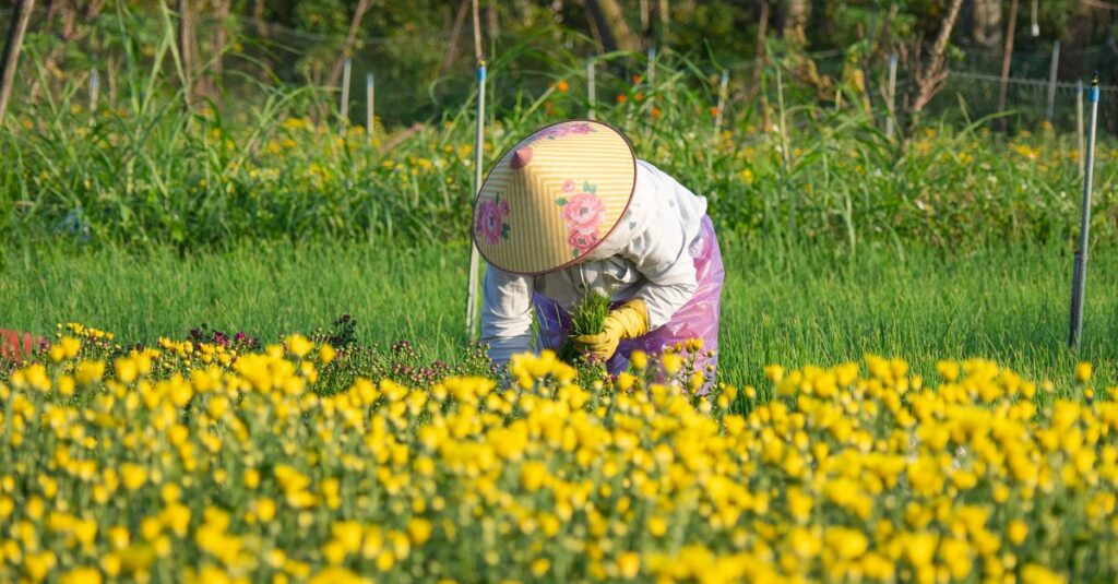 Beautiful smiling woman in flower field